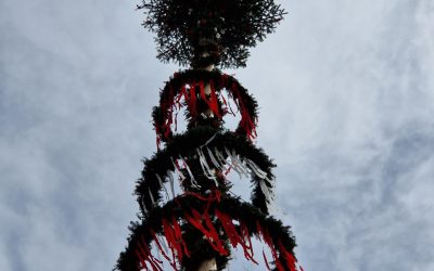 Maibaum aufstellen 2024